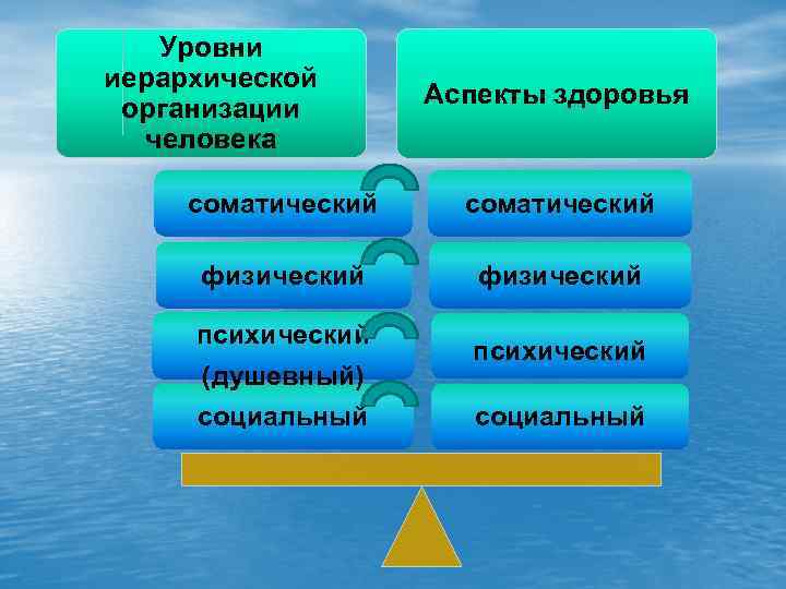 Физические аспекты здоровья