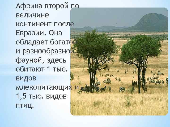 Африка второй по величине континент после Евразии. Она обладает богатой и разнообразной фауной, здесь