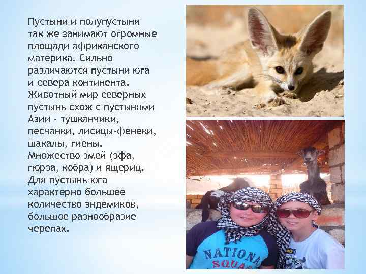 Пустыни и полупустыни так же занимают огромные площади африканского материка. Сильно различаются пустыни юга