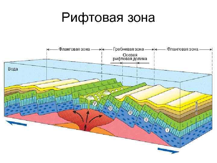 Современная теория тектоники плит. Момская рифтовая зона схема. Строение континентального рифта. Дивергентные границы литосферных плит. Рифтовые разломы земной коры.