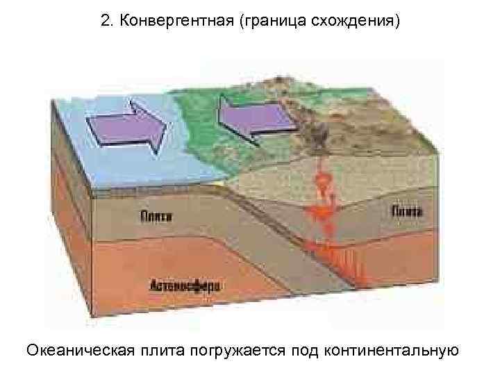 2. Конвергентная (граница схождения) Океаническая плита погружается под континентальную 