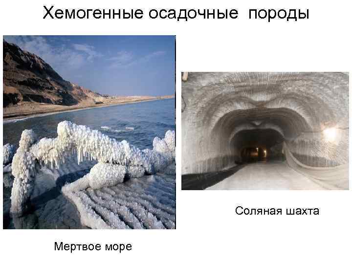 Хемогенные осадочные породы Соляная шахта Мертвое море 