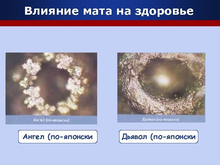 Влияние мата на здоровье Ангел (по-японски Дьявол (по-японски 