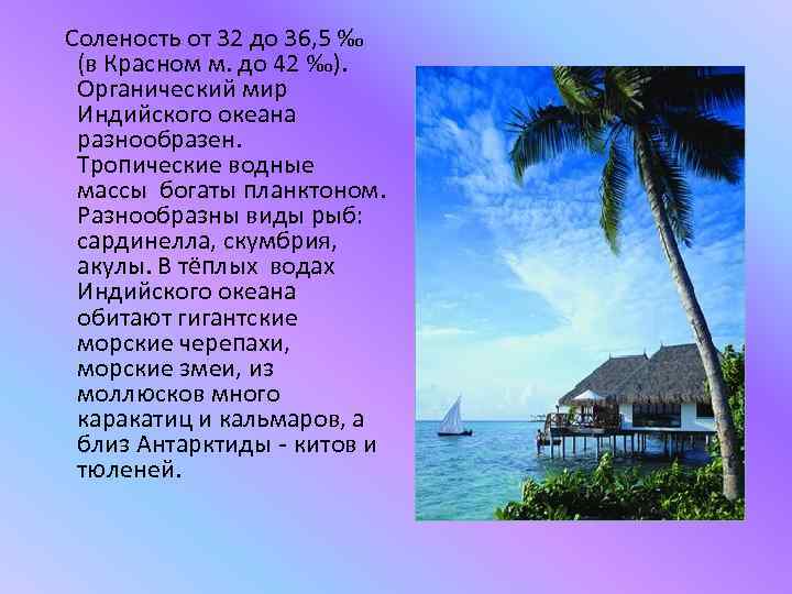 Соленость от 32 до 36, 5 ‰ (в Красном м. до 42 ‰). Органический