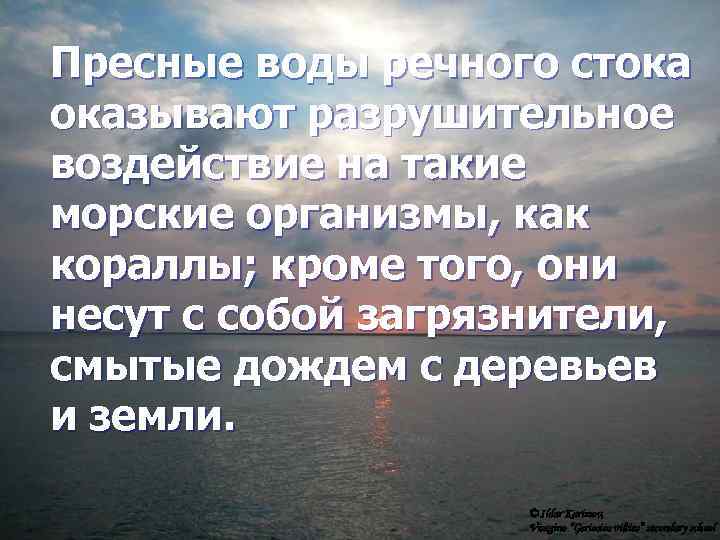 Пресные воды речного стока оказывают разрушительное воздействие на такие морские организмы, как кораллы; кроме