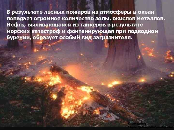 В результате лесных пожаров из атмосферы в океан попадает огромное количество золы, окислов металлов.