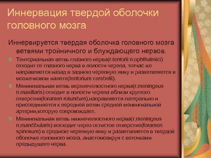 Иннервация твердой оболочки головного мозга Иннервируется твердая оболочка головного мозга ветвями тройничного и блуждающего