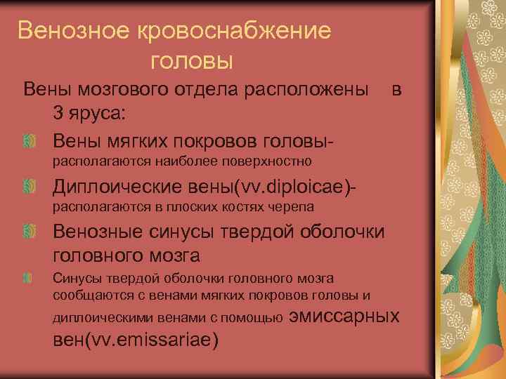 Венозное кровоснабжение головы Вены мозгового отдела расположены 3 яруса: Вены мягких покровов головы- в