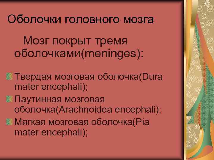 Оболочки головного мозга Мозг покрыт тремя оболочками(meninges): Твердая мозговая оболочка(Dura mater encephali); Паутинная мозговая