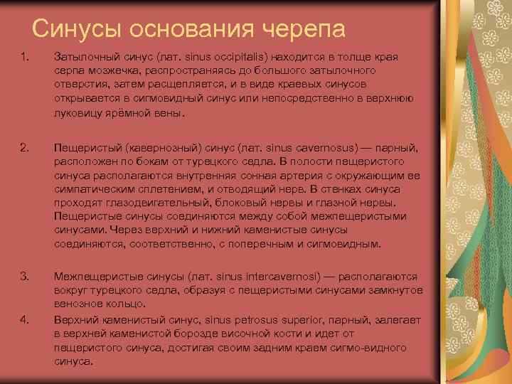 Синусы основания черепа 1. Затылочный синус (лат. sinus occipitalis) находится в толще края серпа