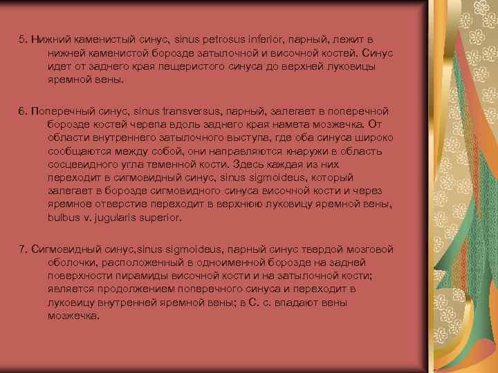 5. Нижний каменистый синус, sinus petrosus inferior, парный, лежит в нижней каменистой борозде затылочной