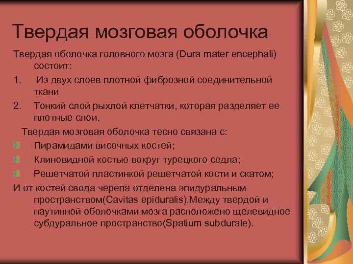 Твердая мозговая оболочка Твердая оболочка головного мозга (Dura mater encephali) состоит: 1. Из двух