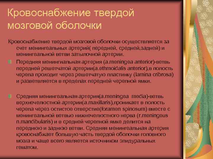 Кровоснабжение твердой мозговой оболочки осуществляется за счет менингеальных артерий( передней, средней, задней) и менингеальной