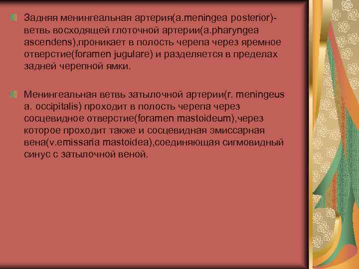 Задняя менингеальная артерия(a. meningea posterior)ветвь восходящей глоточной артерии(a. pharyngea ascendens), проникает в полость черепа