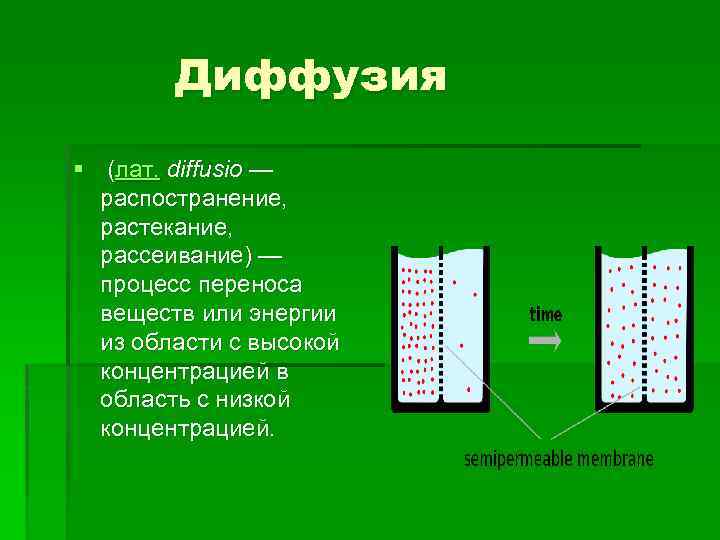 Диффузия § (лат. diffusio — распостранение, растекание, рассеивание) — процесс переноса веществ или энергии
