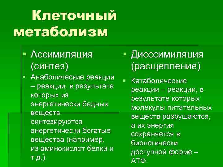 Клеточный обмен веществ