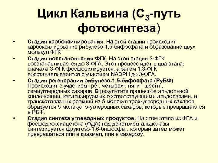 Синтез кальвина