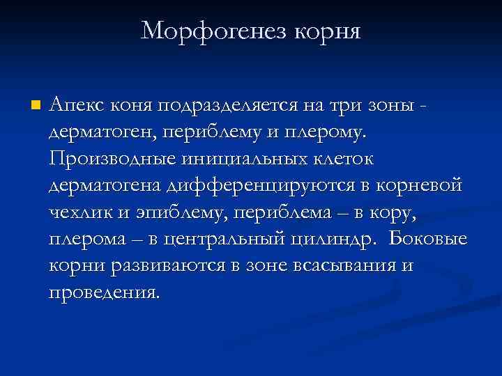 Морфогенез корня n Апекс коня подразделяется на три зоны дерматоген, периблему и плерому. Производные