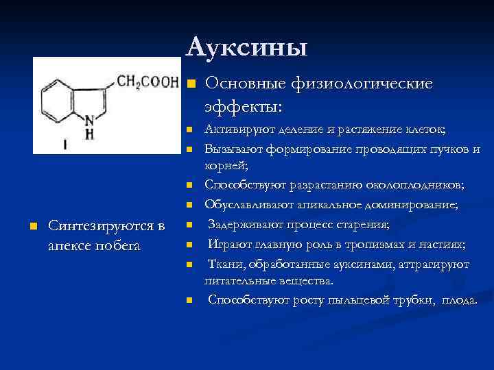 Ауксины n Основные физиологические эффекты: n Активируют деление и растяжение клеток; Вызывают формирование проводящих