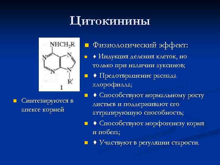 Цитокинины n Физиологический эффект: n ♦ Индукция деления клеток, но n n Синтезируются в