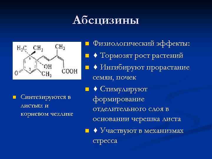 Абсцизины n n n Синтезируются в листьях и корневом чехлике n Физиологический эффекты: ♦