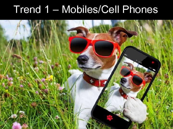 Trend 1 – Mobiles/Cell Phones 