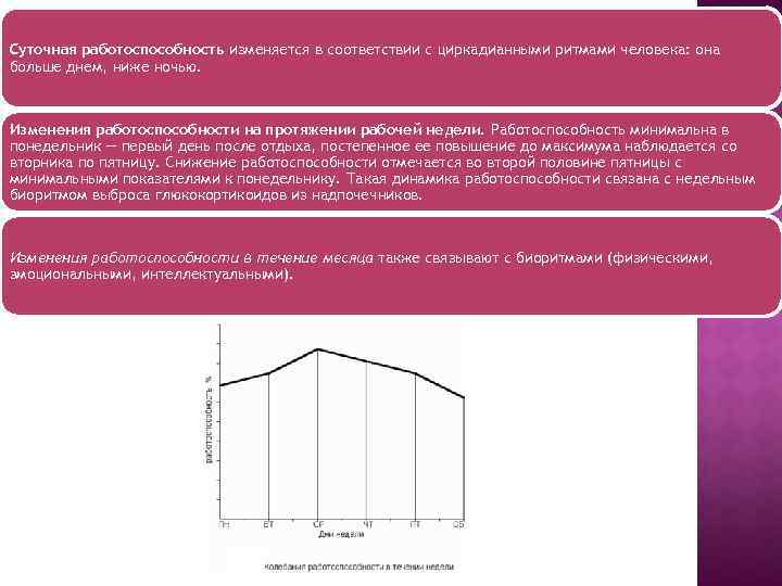 Суточная работоспособность изменяется в соответствии с циркадианными ритмами человека: она больше днем, ниже ночью.