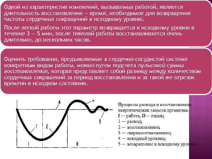 Периоды восстановительных процессов. Что такое пульсовая сумма восстановления физиология. Кислородный долг и восстановление энергетических запасов организма. Восстановление энергетических запасов человека. Фазы восстановления и их Длительность..