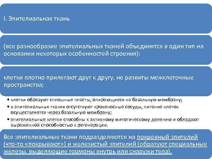 I. Эпителиальная ткань (все разнообразие эпителиальных тканей объединятся в один тип на основании некоторых