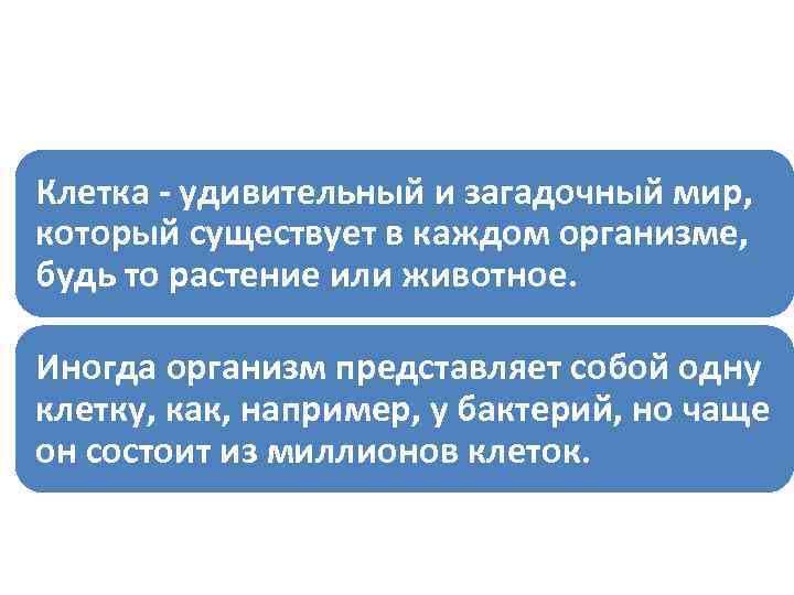 Клетка - удивительный и загадочный мир, который существует в каждом организме, будь то растение