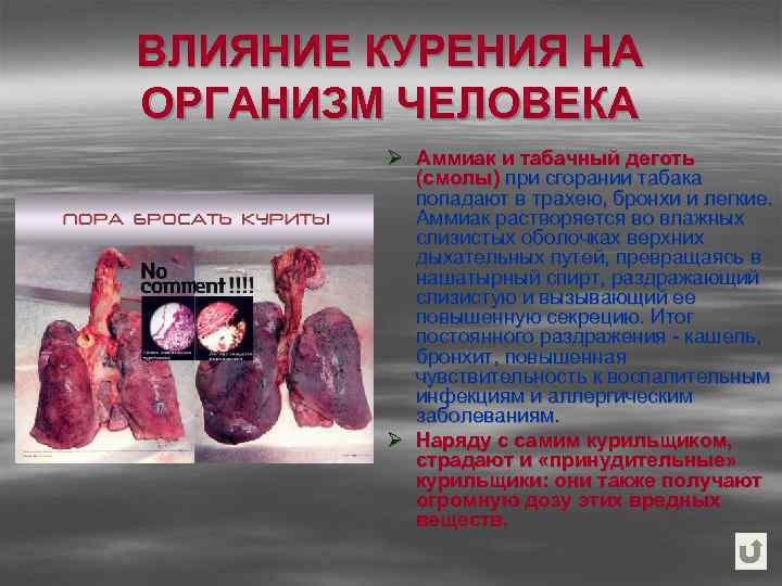 ВЛИЯНИЕ КУРЕНИЯ НА ОРГАНИЗМ ЧЕЛОВЕКА Ø Аммиак и табачный деготь (смолы) при сгорании табака