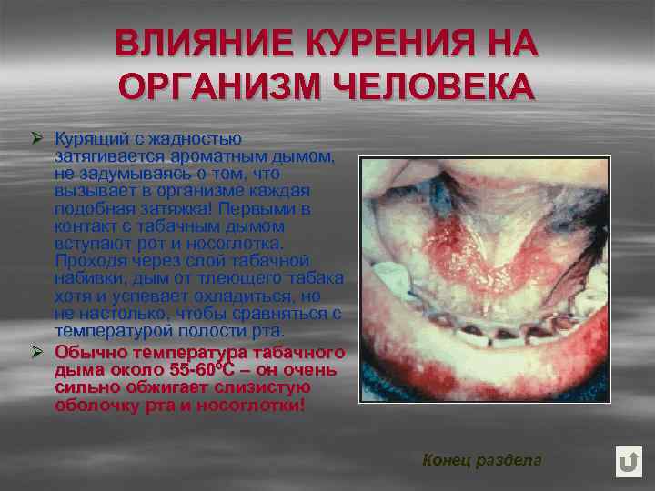 ВЛИЯНИЕ КУРЕНИЯ НА ОРГАНИЗМ ЧЕЛОВЕКА Ø Курящий с жадностью затягивается ароматным дымом, не задумываясь