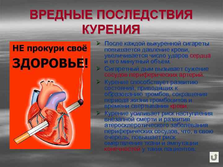 ВРЕДНЫЕ ПОСЛЕДСТВИЯ КУРЕНИЯ Ø После каждой выкуренной сигареты повышается давление крови, увеличивается число ударов