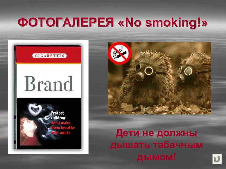 ФОТОГАЛЕРЕЯ «No smoking!» Дети не должны дышать табачным дымом! 