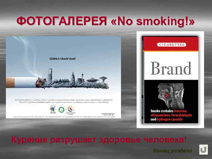 ФОТОГАЛЕРЕЯ «No smoking!» Курение разрушает здоровье человека! Конец раздела 