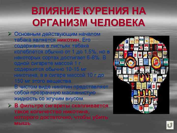 ВЛИЯНИЕ КУРЕНИЯ НА ОРГАНИЗМ ЧЕЛОВЕКА Ø Основным действующим началом табака является никотин. Его содержание
