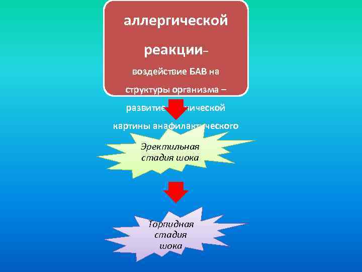 аллергической реакции– воздействие БАВ на структуры организма – развитие клинической картины анафилактического шока Эректильная