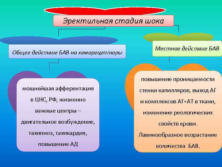 Эректильная стадия шока Общее действие БАВ на хеморецепторы Местное действие БАВ повышение проницаемости мощнейшая