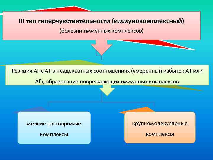 III тип гиперчувствительности (иммунокомплексный) (болезни иммунных комплексов) Реакция АГ с АТ в неадекватных соотношениях