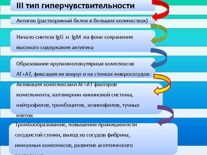 III тип гиперчувствительности Антиген (растворимый белок в больших количествах) Начало синтеза Ig. G и