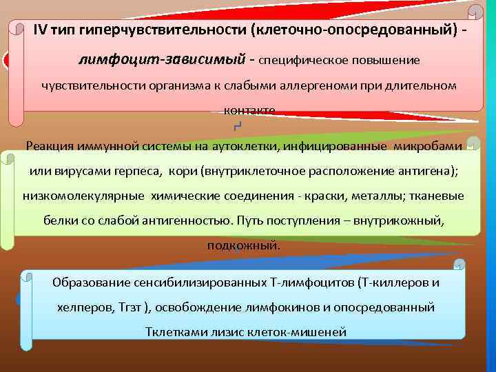 IV тип гиперчувствительности (клеточно-опосредованный) лимфоцит-зависимый - специфическое повышение чувствительности организма к слабыми аллергеноми при