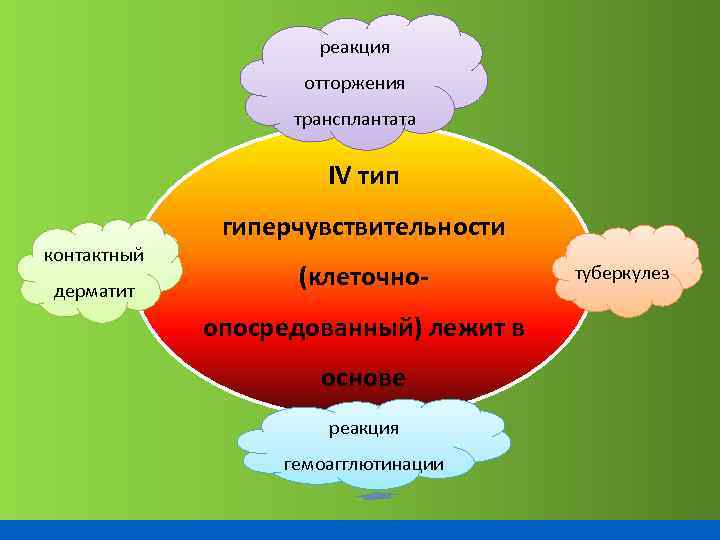 реакция отторжения трансплантата IV тип контактный дерматит гиперчувствительности (клеточноопосредованный) лежит в основе реакция гемоагглютинации