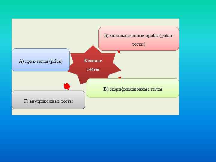 Б) аппликационные пробы (patchтесты) А) прик-тесты (рrick) Кожные тесты В) скарификационные тесты Г) внутрикожные