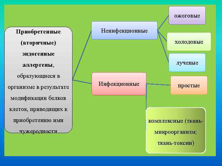 ожоговые Приобретенные Неинфекционные холодовые (вторичные) эндогенные лучевые аллергены, образующиеся в организме в результате Инфекционные