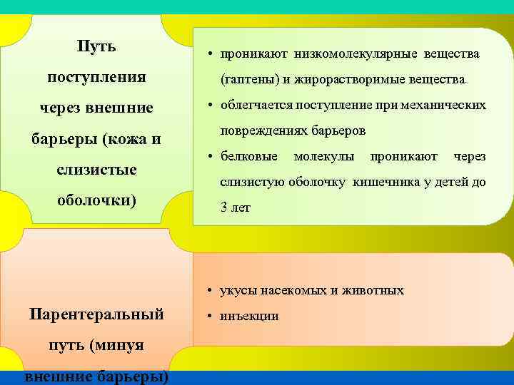 Путь • проникают низкомолекулярные вещества поступления (гаптены) и жирорастворимые вещества через внешние • облегчается