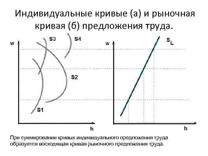  Индивидуальные кривые (а) и рыночная кривая (б) предложения труда. При суммировании кривых индивидуального