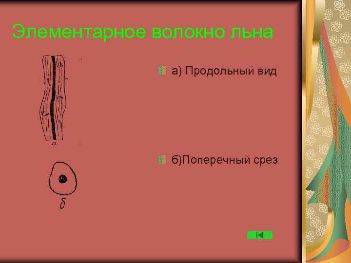 Элементарные волокна