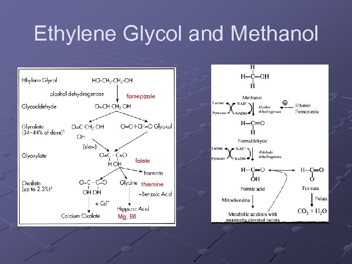 Ethylene Glycol and Methanol fomepizole folate thiamine Mg, B 6 