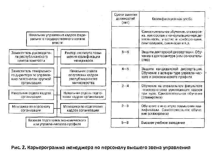 Рис. 2. Карьерограмма менеджера по персоналу высшего звена управления 