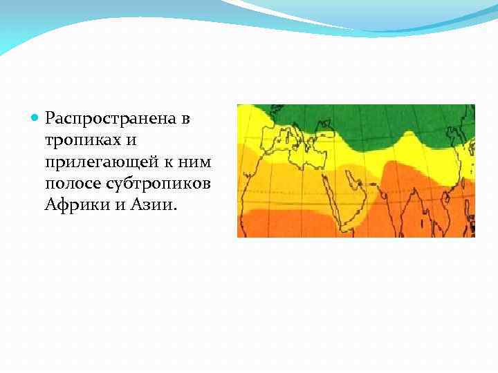  Распространена в тропиках и прилегающей к ним полосе субтропиков Африки и Азии. 